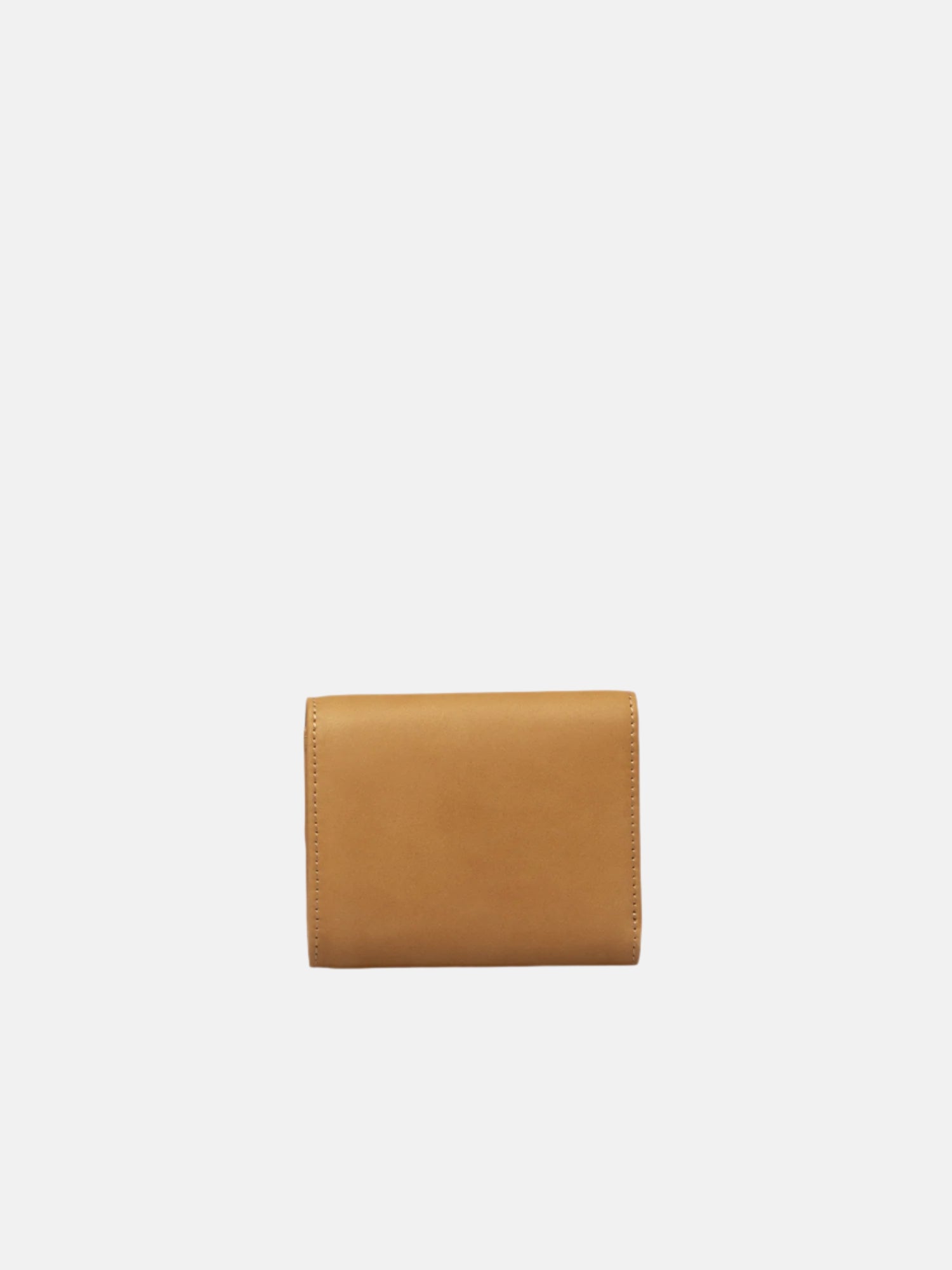 #color_CAMEL